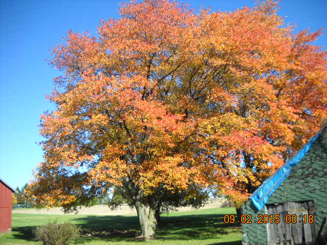 DSCN1442
