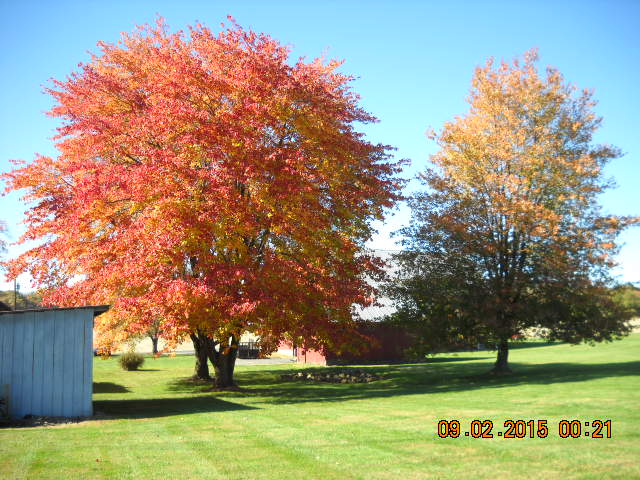 DSCN1444