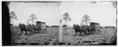 Falmouth, Virginia. Mail wagon for headquarters, Army of the Potomac