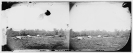 Cedar Mountain, Virginia. Bodies of horses on battlefield