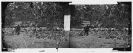 Antietam, Maryland. Graves of Federal soldiers at Burnside bridge