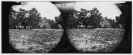 Cold Harbor, Virginia. View with soldiers and tents