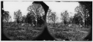 Richmond, Virginia. Graves of Confederate soldiers in Hollywood Cemetery