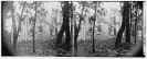 Fauquier Sulphur Springs, Virginia. Ruins of hotel