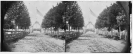 Alexandria, Virginia. Soldier's cemetery.