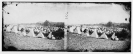 Cumberland Landing, Virginia. City of tents. Encampment of the Army of the Potomac