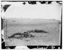 Antietam, Maryland. Confederate soldiers as they fell near the Burnside bridge