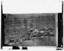 Antietam, Maryland. Dead on battlefield