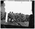 Soldier group. (Corn harvest)