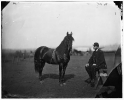 Brandy Station, Virginia. Lt. Chas W. Wolsey with horse headquarters Army of the Potomac