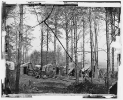 Brandy Station, Virginia. Telegraph Corps camp