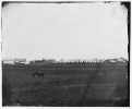 Brandy Station, Virginia. Camp of U.S. Engineer Battalion