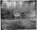 Virginia. Mule team crossing a brook
