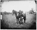 Bealton, Virginia. Capt. Henry Page, assistant quarter master, at Army of the Potomac headquarters