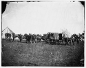 Culpeper, Virginia. Capt. Pierce's private horses, wagons, etc.