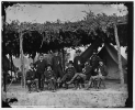 Washington, District of Columbia (vicinity). Gen. Daniel White and staff