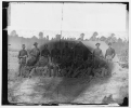 Petersburg, Virginia. Group of 3d Indiana Cavalry, headquarters Army of the Potomac