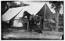Morris Island, South Carolina. General Quincy A. Gillmore in front of his tent