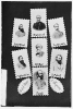 Rebel Army of Virginia: Longstreet, Beauregard, Breckenridge, Fitzhugh Lee, R.E. Lee, A.P. Hill, and Ewell