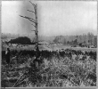 Confederate Entrenchments near junction of old and new Court House Roads, Spotsylvania, Virginia