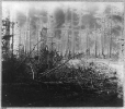 Confederate Entrenchments near junction of old and new Court House Roads, Spotsylvania, Virginia