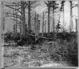 Confederate Entrenchments near junction of old and new Court House Roads, Spotsylvania, Virginia