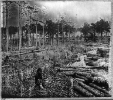 Confederate Entrenchments near junction of old and new Court House Roads, Spotsylvania, Virginia