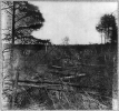 Confederate entrenchments in the woods near Spotswood's House