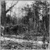 Confederate entrenchments in the woods near Spotswood's House