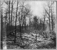 Confederate entrenchments in the woods near Spotswood's House