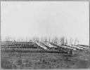 Winter camp of 50th N.Y. Engineers, Rappahannock Station