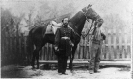 M. Miller, Colonel, 18th Mo. Infantry, full-length portrait, facing right, standing before horse held by African-American man