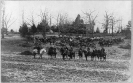 Union artillery unit posed with cannons and horses