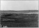 Winter quarters of a cavalry regiment in Army of Potomac near Brandy Station, Va.