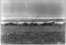 Ammunition train 3d Division, Cavalry Corps
