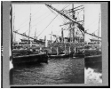View of boats and ships at wharf, Charleston, South Carolina