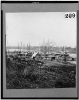 Broadway Landing, Appomattox River, Virginia