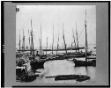 View of transports, barges, etc., City Point, Virginia