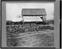 Depot of the Commissary, Cedar Level, Virginia