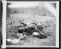 Scene of Ewell's attack, May 19, 1864, near Spottsylvania i.e. Spotsylvania Court House. Dead Confederate soldier