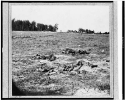 Battle-field of Gaines Mill, Va.