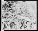 Dead Confederate soldier in trench at Fort Mahone, Petersburg, Va., April 3, 1865