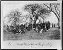 Co., 164th New York Infantry