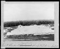 Tent wards at Campbell Hospital, Washington, D.C.