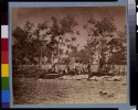 Burying the dead at hospital in Fredericksburg, Va.