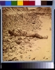 Dead Confederate soldier, in trenches of Fort Mahone in front of Petersburg, Va., April 3, 1865