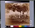 Confederate artillery near Charleston, S.C.