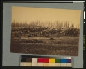 Horse artillery on parade grounds