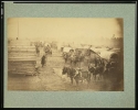 Camp of the Union forces at Centreville, Virginia, showing soldiers, log buildings, horses and wagons, during winter of 1861-1862