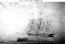 CSS Florida (1862-1864) 
 
    Oil painting, probably depicting her arrival in the Bahamas in
    1862. She had been purchased secretly in England and sent to
    the Bahamas for fitting out as a warship. This may explain the
    absence o